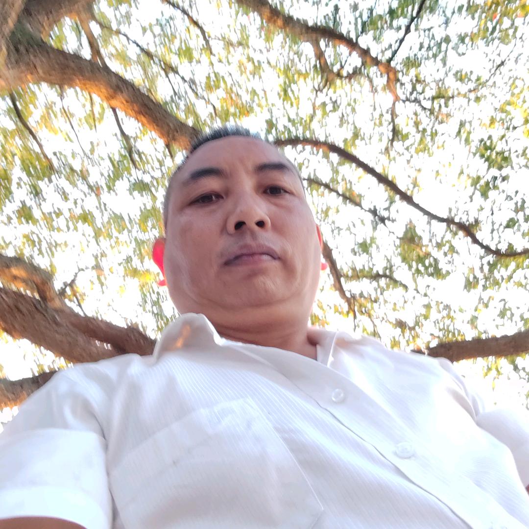男儿不展风云志