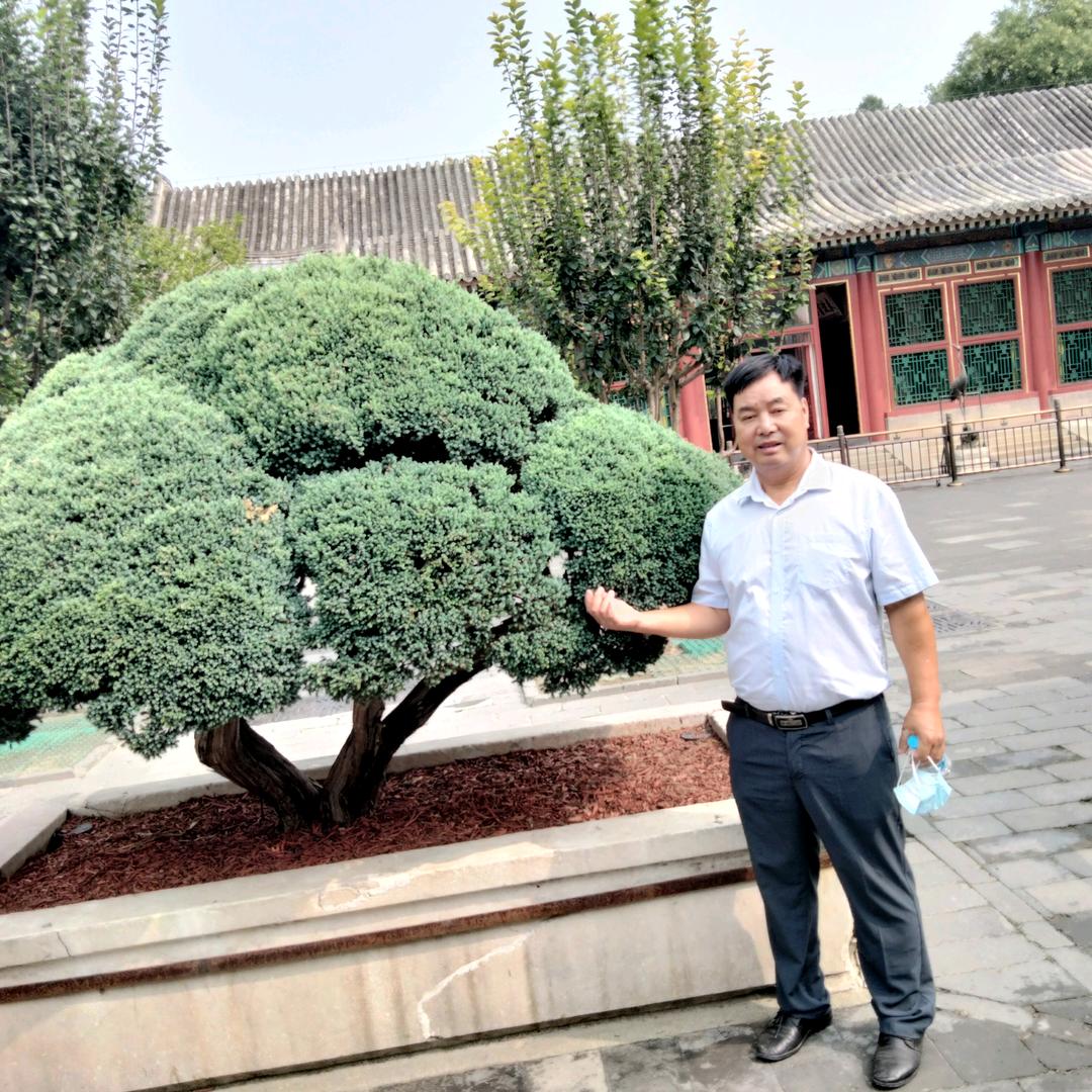 我心飞翔
