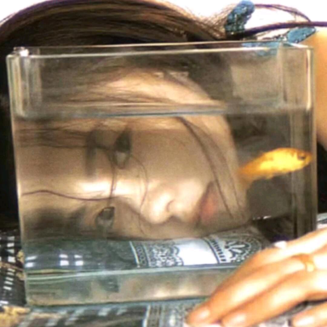 枣