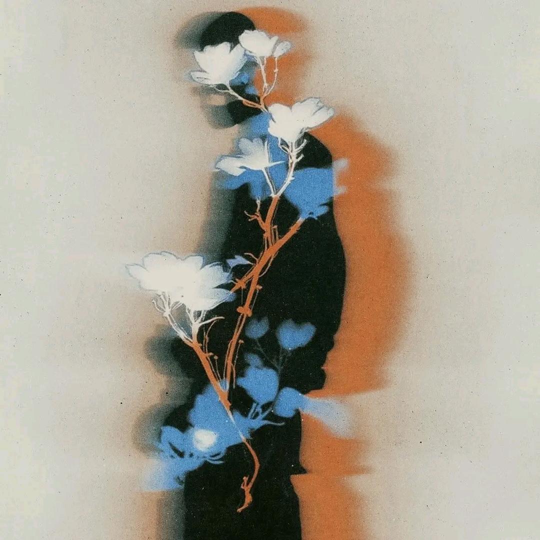 臻鲜生—技术支持