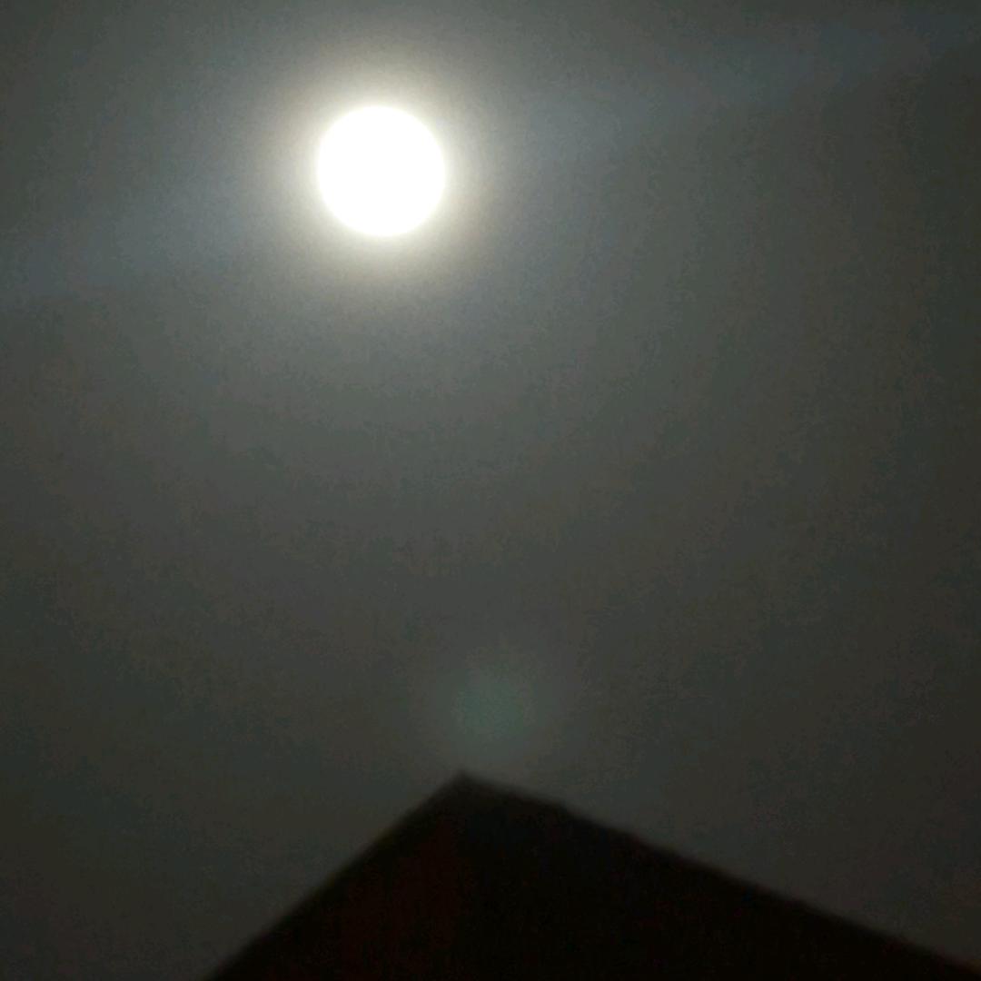 多梦