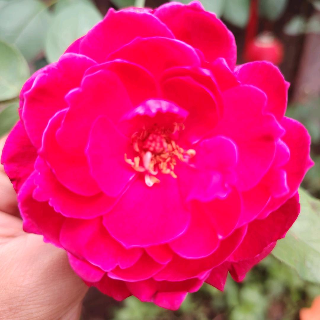 ꪋꪆᩚ༉💕͡原来是你꧔҉