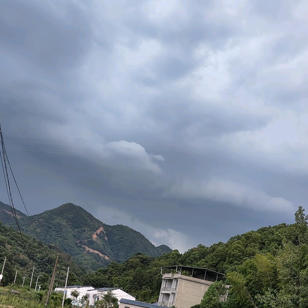 淡如茶 烈如酒