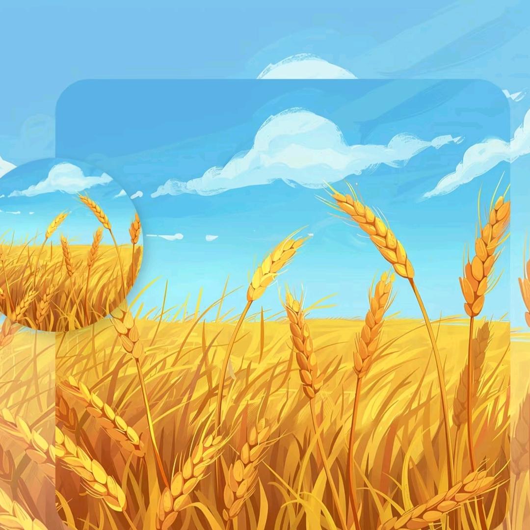 প꯭᨞兜兜🌾有米ོ