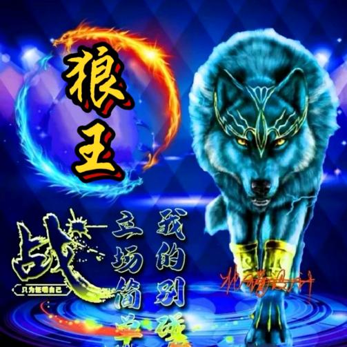 北方冷风的孤狼