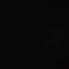 此號已註銷