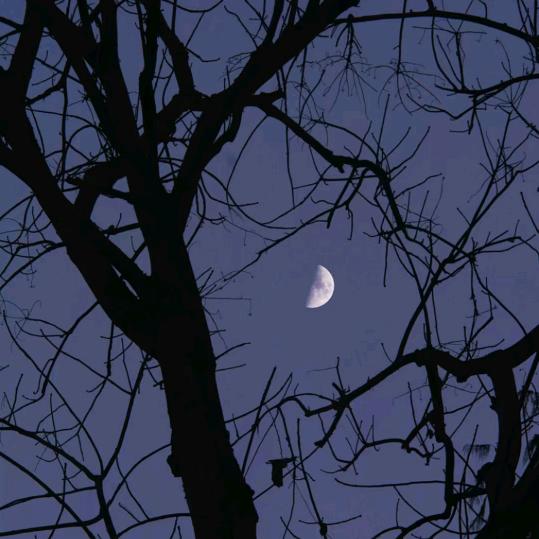 人生百味自己体会