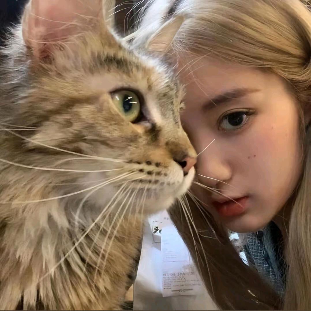 -1神（想吃麻辣烫版）