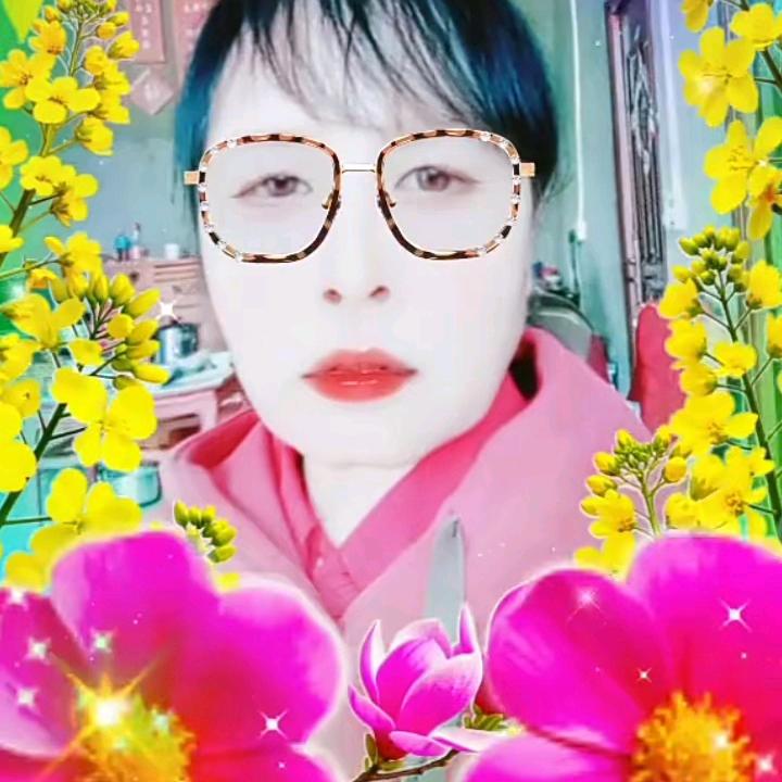 四季平安