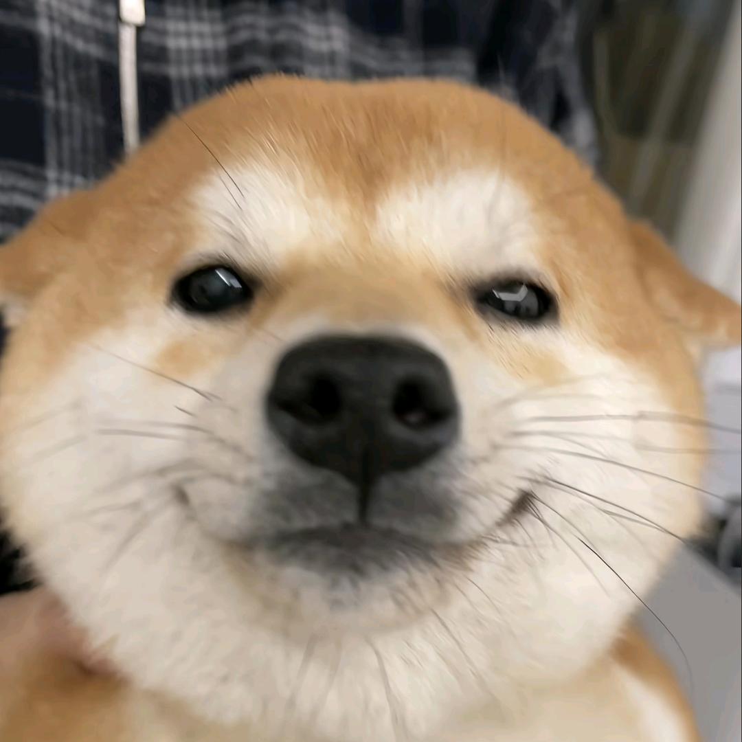 屁要偷偷的放