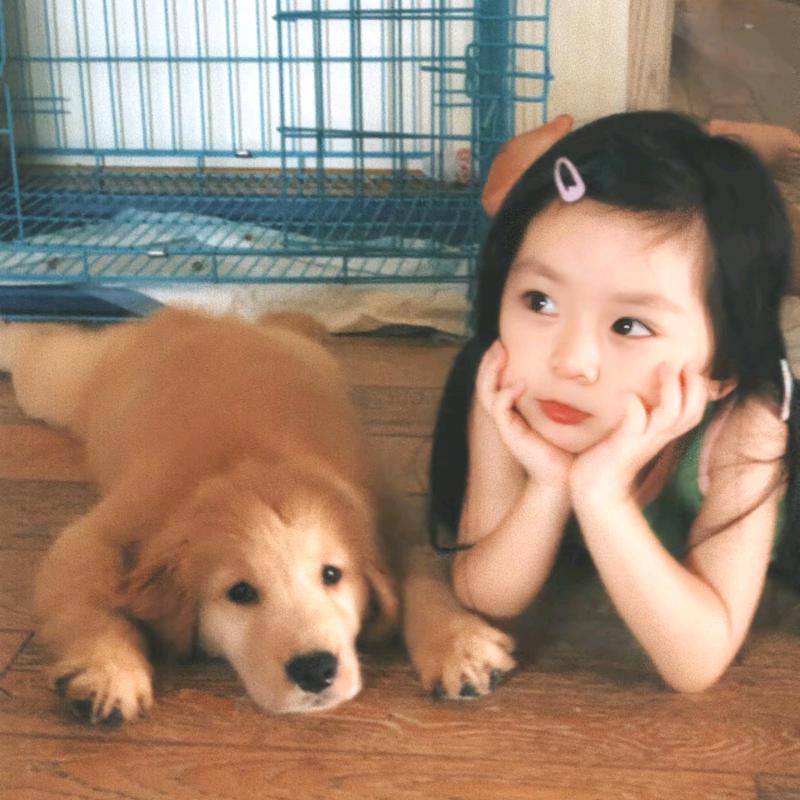 眠杨羊🐑