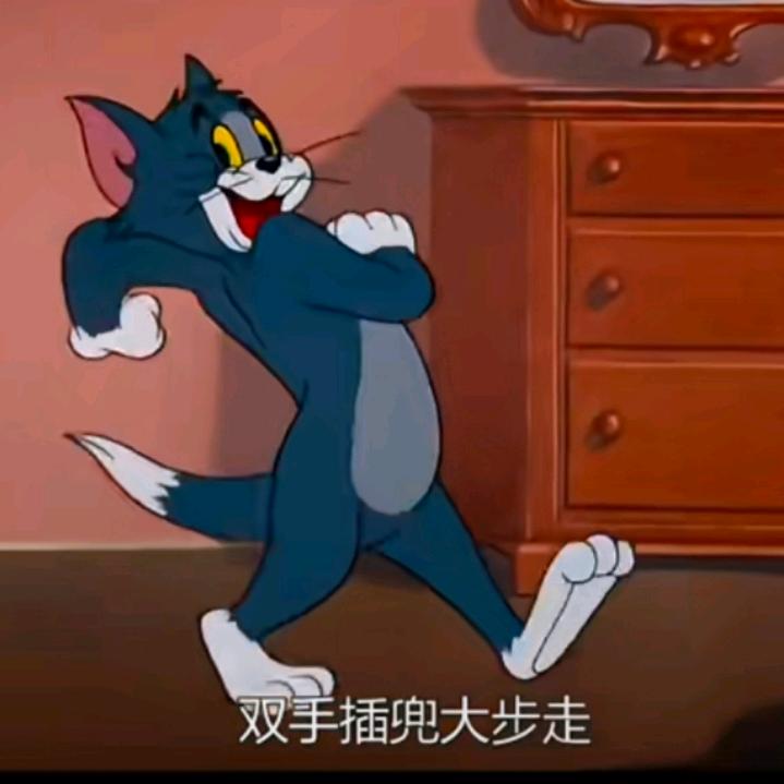 双手插兜