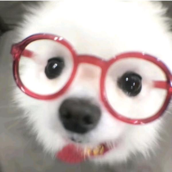 小小的我