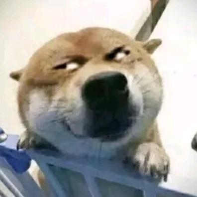 张瀚升
