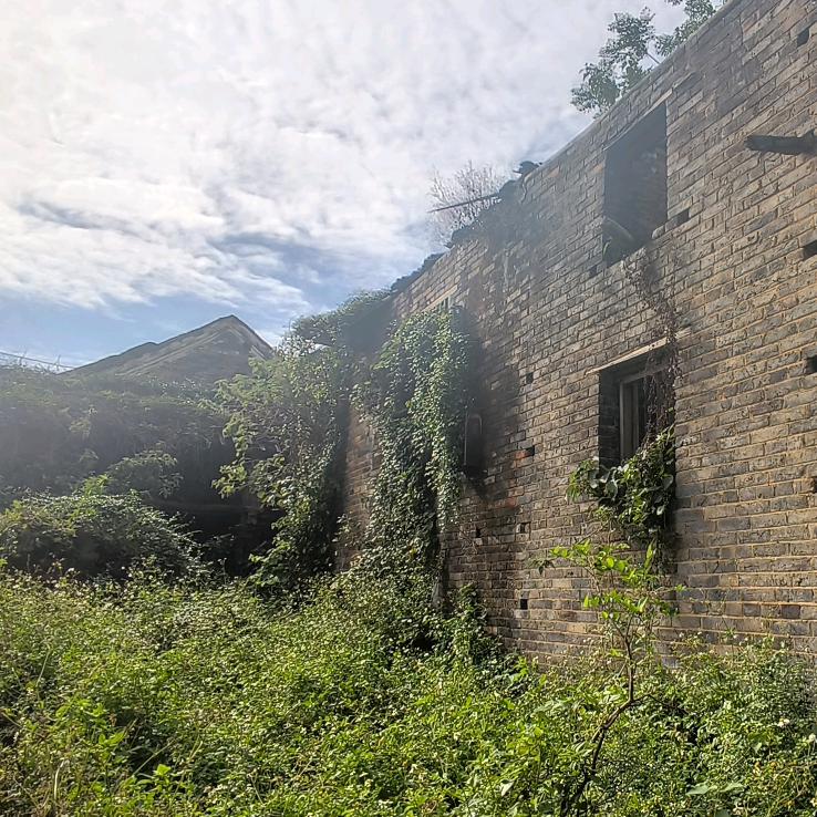 剑来看啊飘！小可爱