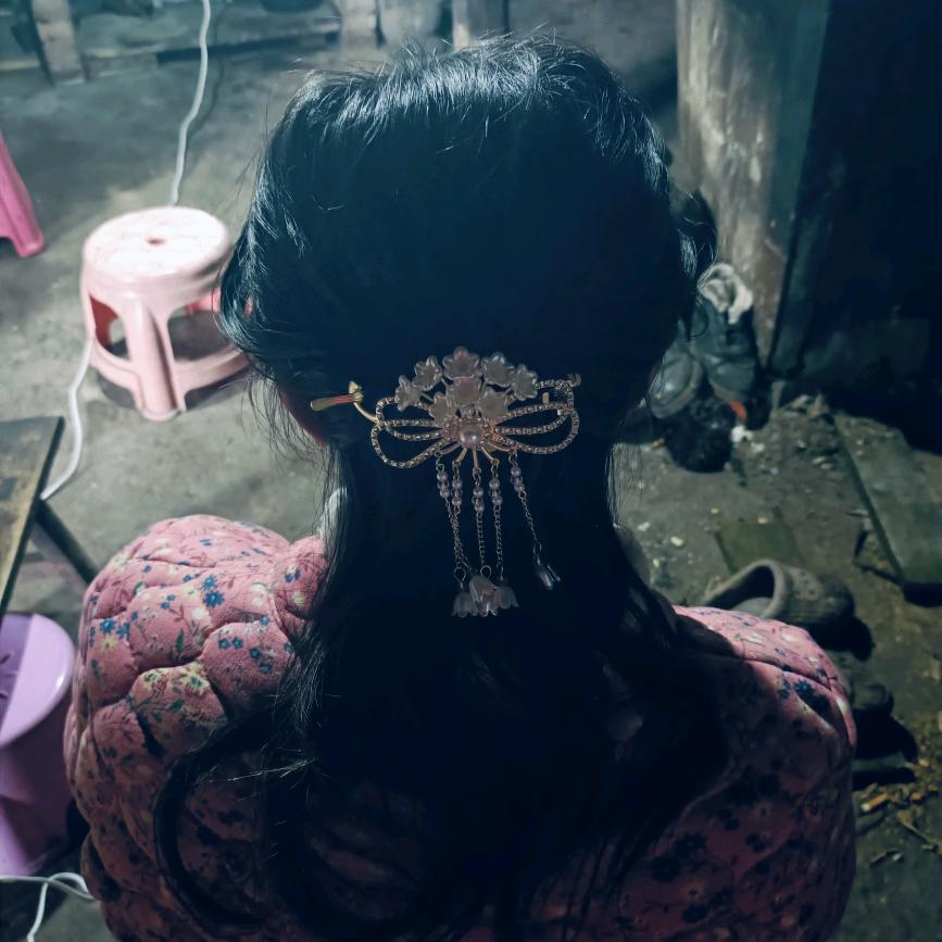 成姐