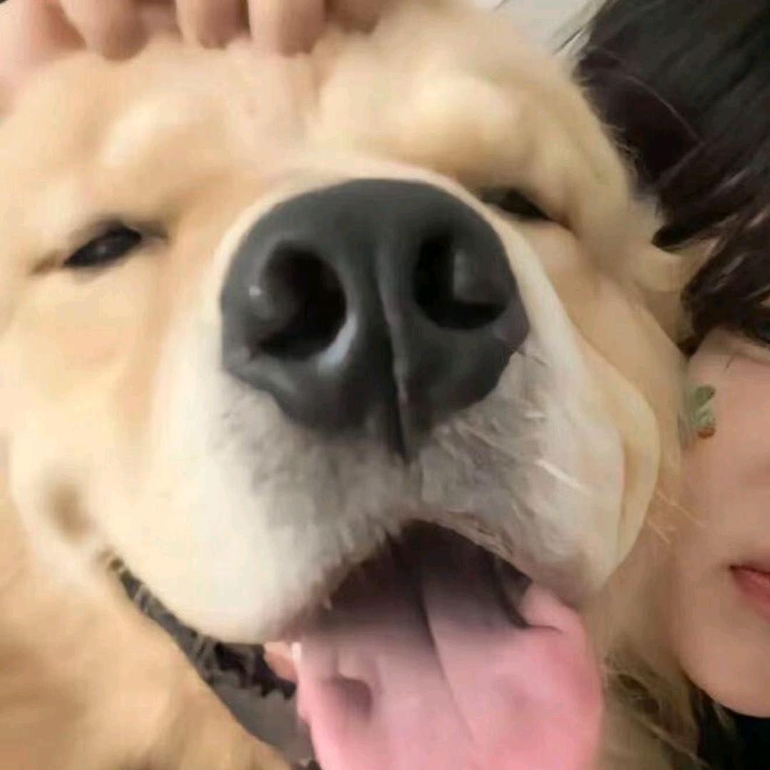 养不到可卡布不改名