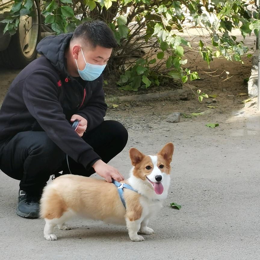 啤酒爱吃小罐头