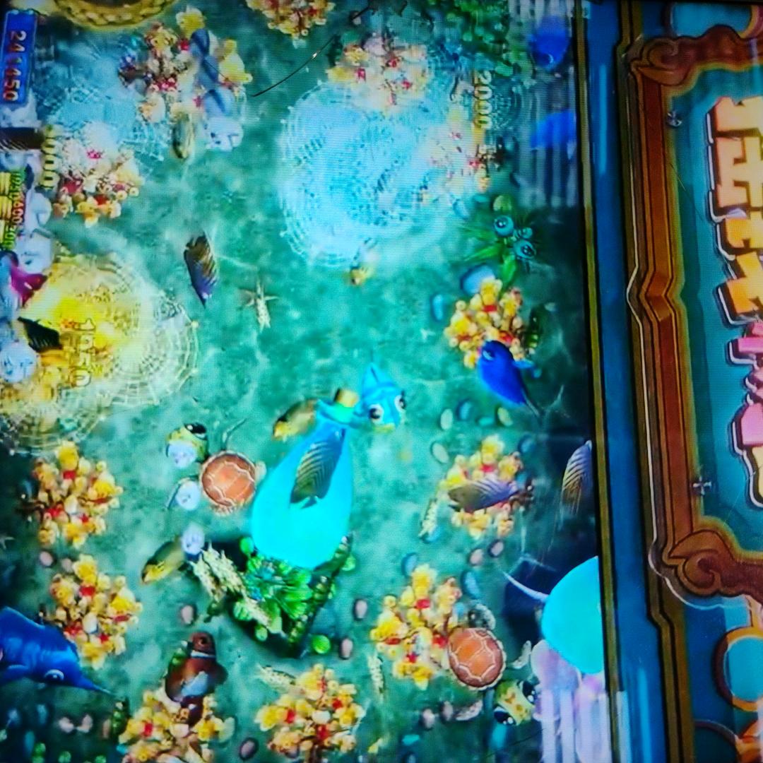 深海鲨群向口