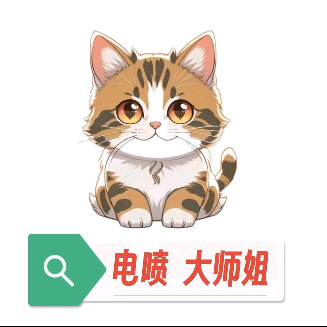 电喷大师姐