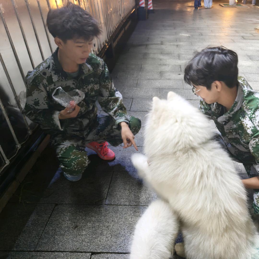两个烟花男孩在民院