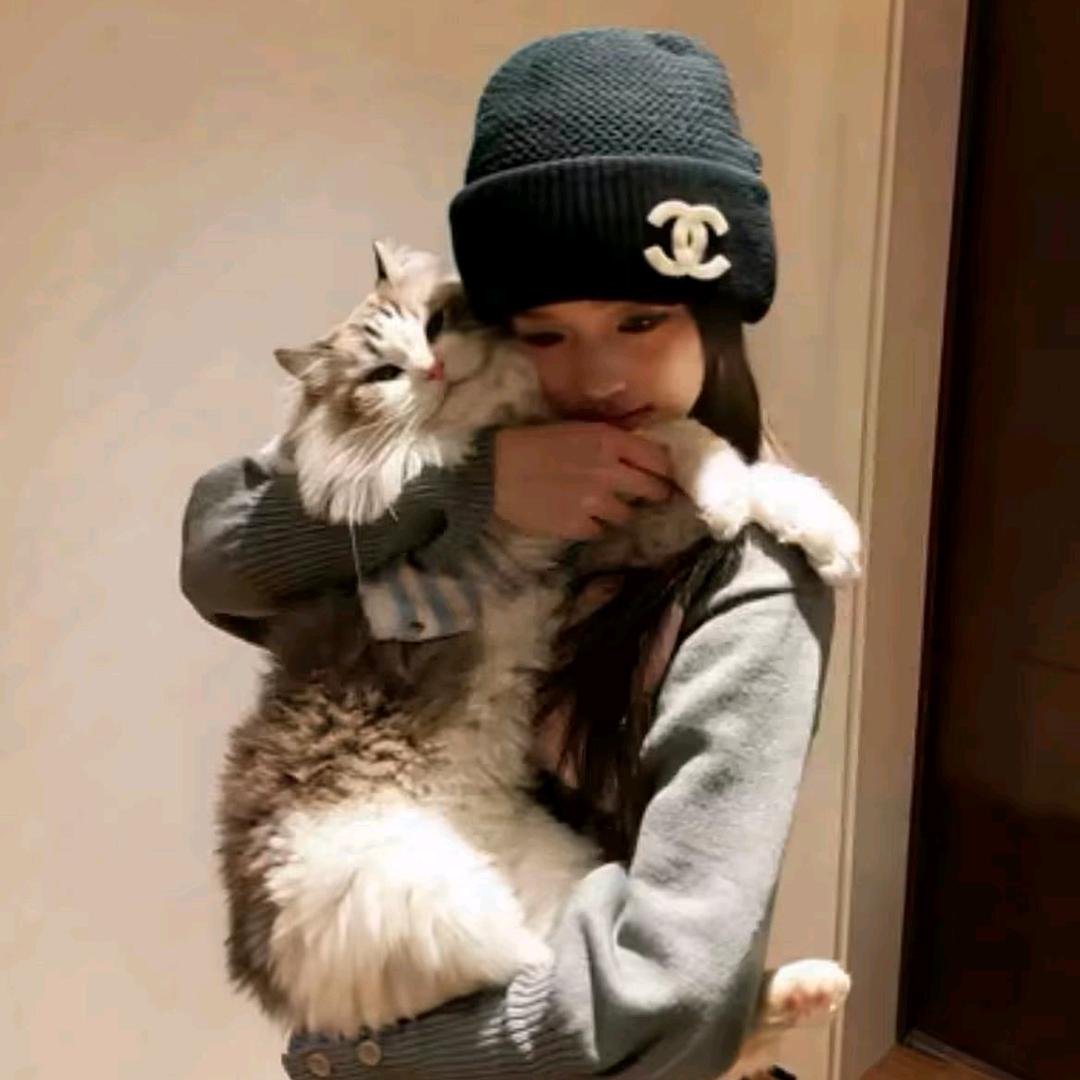 七七