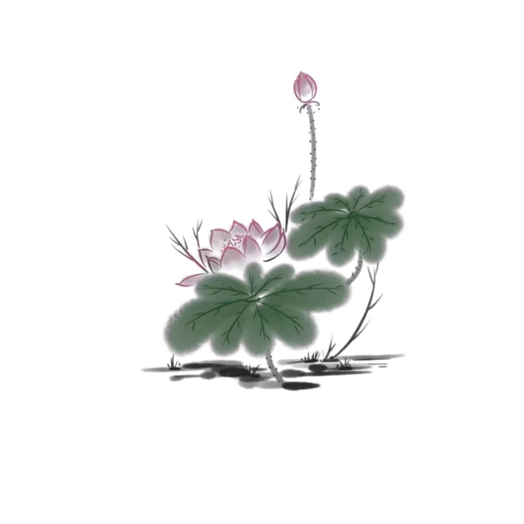日·月