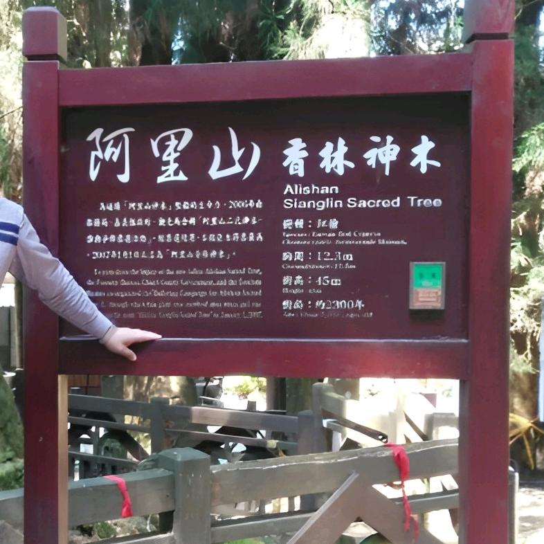 航海家🍀²⁵²