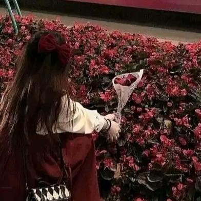 ☞玉衡玫瑰ξ☜🌹