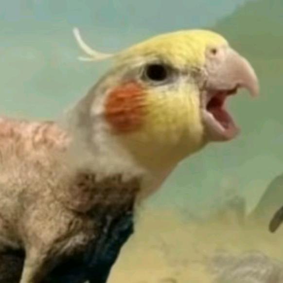 春时漪