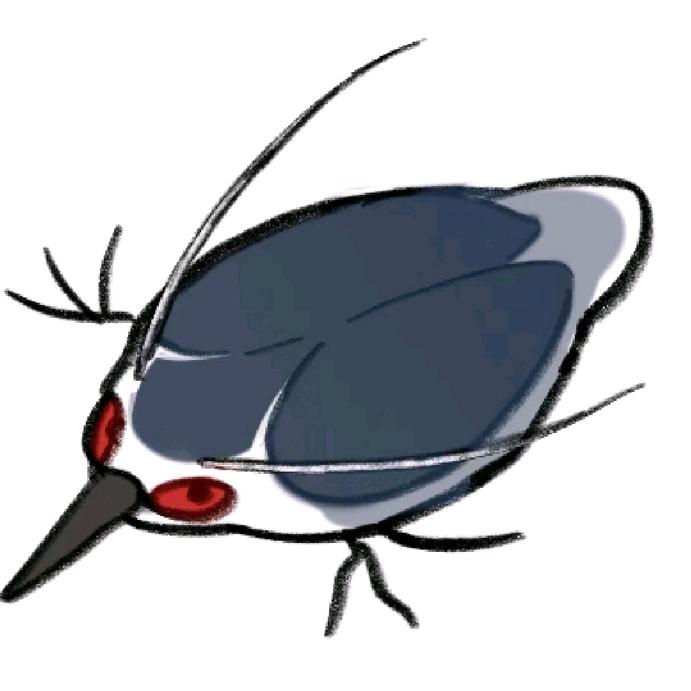岸边津渡