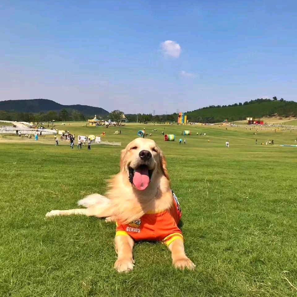 刘姐！明天更美好