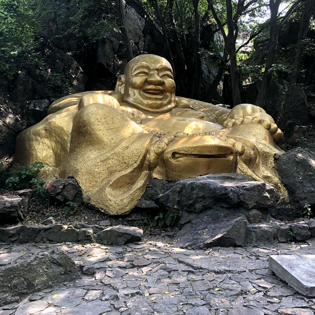 赵哥
