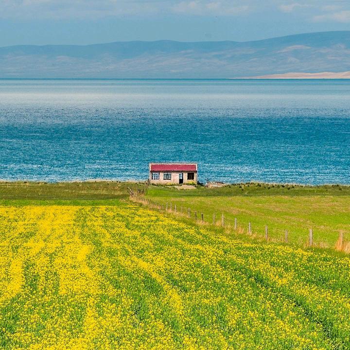 安利产品专店～珍姐