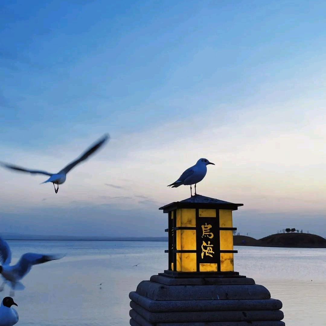 内蒙古汉族姑娘小𬎆