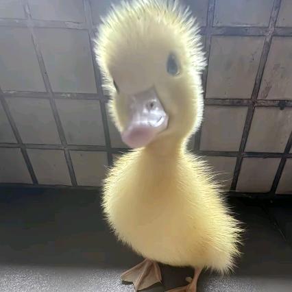 开始