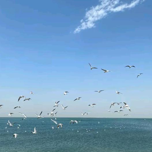 xiong二