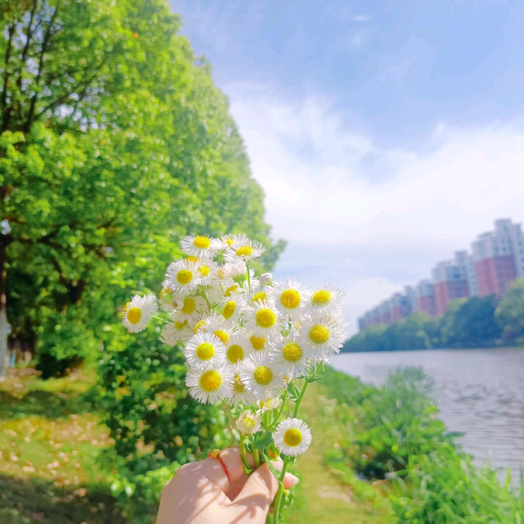 小杨