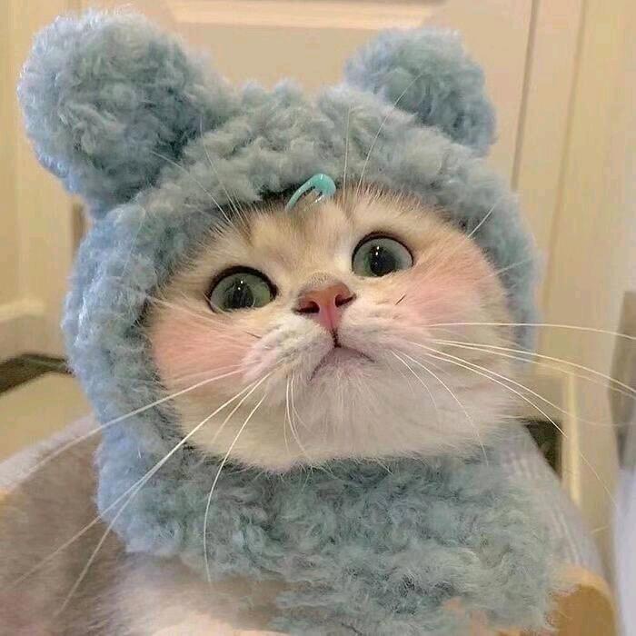 @随缘哥