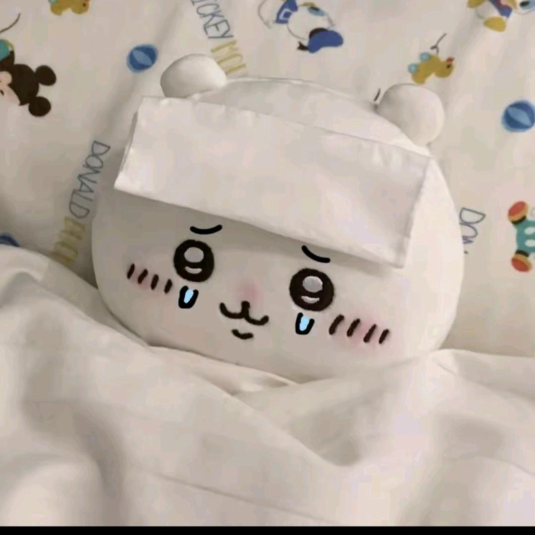 潇潇暮雨子规啼