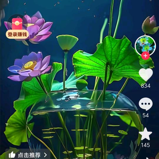 每天开心😁