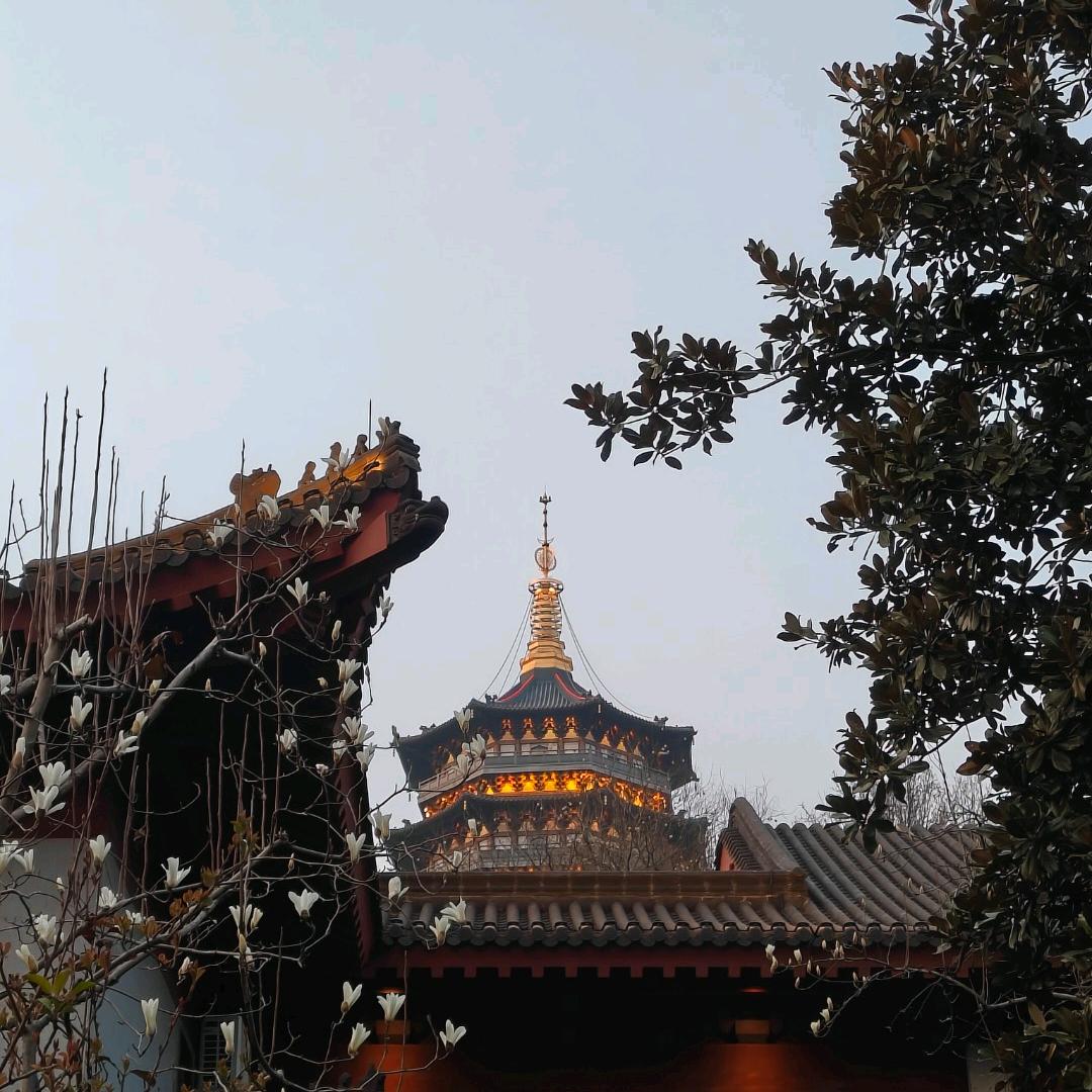 孤傲