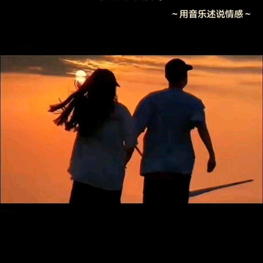 🎶旋律之梦💫