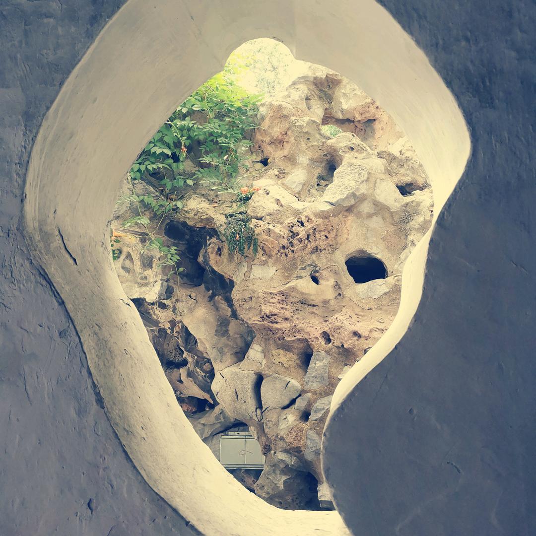 无欲无求