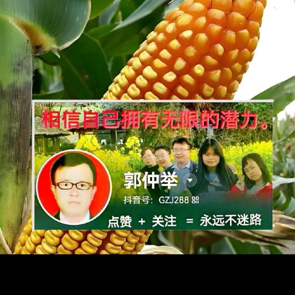 郭仲举