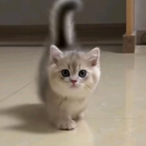 敬∞壮静壮