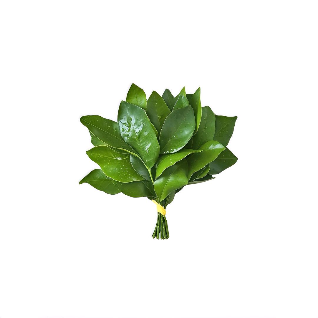 996不累患者