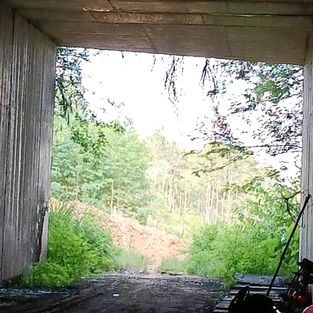 拥抱天堂来爱你