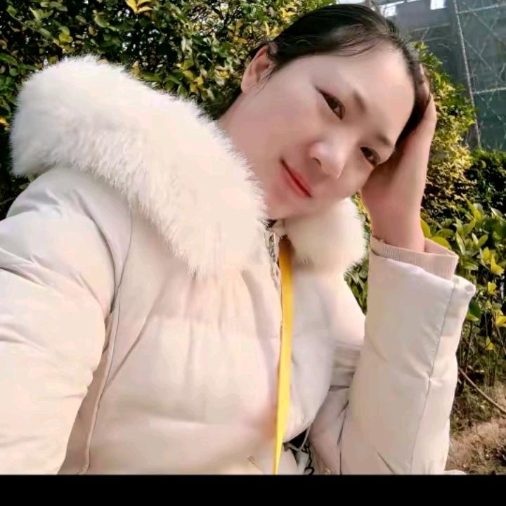 看破红尘单身狗