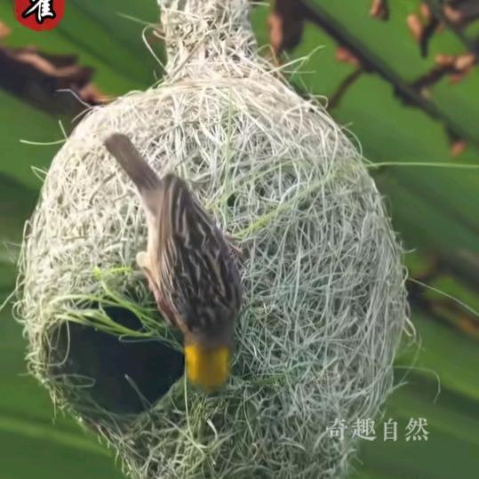 黑暗与光明